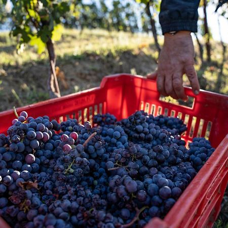 Agriturismo Antichi Poderi Gallina Нейве Экстерьер фото