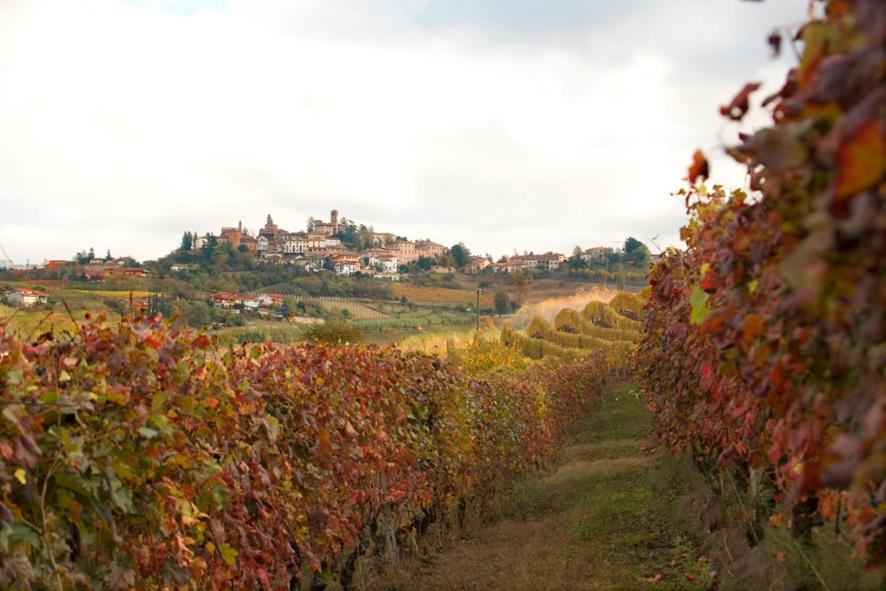Agriturismo Antichi Poderi Gallina Нейве Экстерьер фото